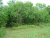 2004-05-27-TX-18.jpg (75602 bytes)