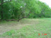 2004-05-27-TX-29.jpg (81726 bytes)
