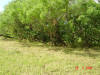 2004-05-27-TX-31.jpg (101853 bytes)