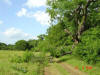 2004-05-27-TX-35.jpg (79652 bytes)