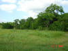 2004-05-27-TX-40.jpg (56145 bytes)