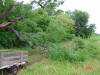 2004-05-28-TX-01.jpg (82459 bytes)