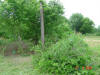 2004-05-28-TX-05.jpg (86662 bytes)