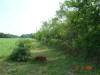 2004-05-28-TX-07.jpg (65617 bytes)