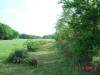 2004-05-28-TX-08.jpg (67655 bytes)