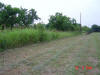 2004-05-28-TX-21.jpg (62521 bytes)
