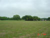 2004-05-28-TX-33.jpg (39666 bytes)
