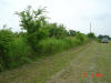 2004-05-28-TX-44.jpg (57768 bytes)