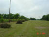 2004-05-31-TX-01.jpg (41304 bytes)