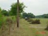 2004-05-31-TX-10.jpg (55005 bytes)