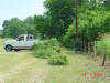 2004-05-31-TX-18.jpg (77427 bytes)