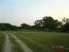 2004-05-31-TX-35.jpg (36071 bytes)