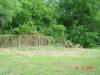 2004-05-Var-TX-14.jpg (91054 bytes)