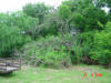 2004-05-Var-TX-20.jpg (89980 bytes)