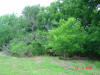 2004-05-Var-TX-21.jpg (82470 bytes)