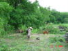 2004-05-Var-TX-23.jpg (90934 bytes)