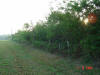 2004-06-01-TX-01.jpg (60109 bytes)
