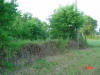 2004-06-01-TX-02.jpg (75879 bytes)