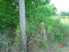 2004-06-01-TX-04.jpg (88889 bytes)