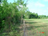 2004-06-01-TX-08.jpg (79545 bytes)