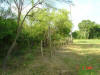 2004-06-01-TX-09.jpg (79313 bytes)