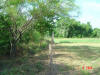 2004-06-01-TX-10.jpg (90044 bytes)