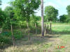 2004-06-01-TX-11.jpg (97203 bytes)