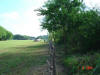 2004-06-01-TX-12.jpg (64468 bytes)