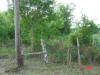 2004-06-01-TX-14.jpg (84200 bytes)