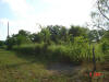 2004-06-01-TX-20.jpg (61272 bytes)