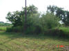 2004-06-01-TX-21.jpg (67044 bytes)