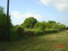 2004-06-01-TX-22.jpg (48123 bytes)