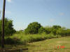2004-06-01-TX-23.jpg (49777 bytes)