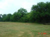 2004-06-02-TX-01.jpg (48321 bytes)