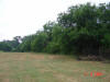 2004-06-02-TX-02.jpg (50404 bytes)