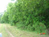 2004-06-02-TX-03.jpg (80925 bytes)