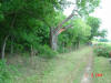 2004-06-02-TX-04.jpg (81651 bytes)