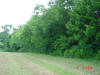 2004-06-02-TX-05.jpg (69112 bytes)