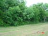 2004-06-02-TX-06.jpg (79489 bytes)