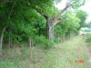 2004-06-02-TX-08.jpg (86170 bytes)