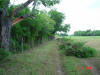 2004-06-02-TX-09.jpg (69381 bytes)