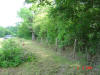 2004-06-02-TX-12.jpg (86088 bytes)