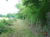 2004-06-02-TX-13.jpg (78153 bytes)
