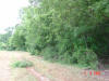2004-06-03-TX-01.jpg (78907 bytes)