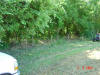 2004-06-03-TX-12.jpg (90211 bytes)