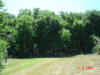 2004-06-03-TX-18.jpg (77688 bytes)
