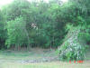 2004-06-06-TX-03.jpg (84329 bytes)