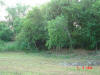 2004-06-06-TX-04.jpg (74104 bytes)