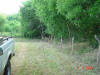 2004-06-06-TX-09.jpg (83597 bytes)