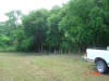 2004-06-06-TX-11.jpg (68013 bytes)